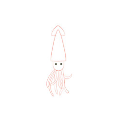 Squid