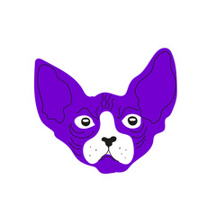 Portrait of a cat in cartoon style. Sphinx cat. The concept of pets, printing on clothes, packaging.