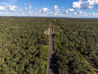 Obraz premium Small highway in the Brazilian savannah in a beautiful autumn sunset