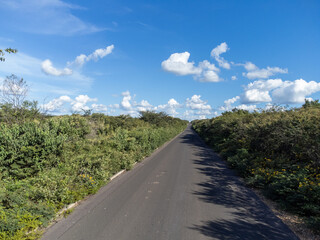 Small highway in the Brazilian savannah in a beautiful autumn sunset