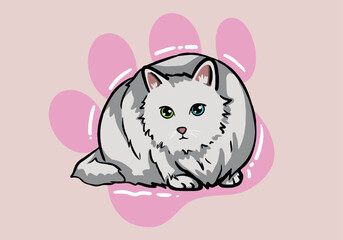Cute hand drawn white cat, fluffy fur, and exaggerated features. Cute adorable big eyes kitty kitten cat