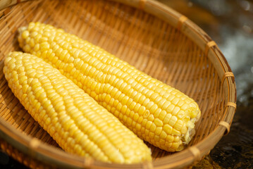 新鮮なトウモロコシ