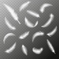 Flying feathers. Falling twirled fluffy realistic white swan, dove or angel wings feather flow. Realistic 3d vector illustration of falling dove feathers texture © SERHII