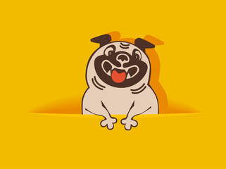 Hiding out pug dog head sticks out of hole on empty yellow background