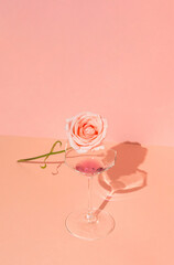 Minimal idea pink rose on a broken wine glass on sunny day. Blooming flower and red drink on pink background.