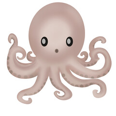 Octopus