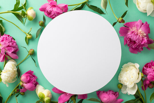 Composition from fresh flowers concept. Above view photo of empty circle surrounded by pink and white peonies and buds on isolated light teal background with copyspace