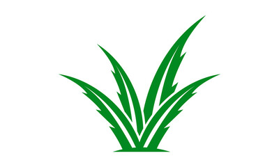 green grass plant vector illustration logo