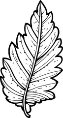 Fototapeta premium Leaf Line Art