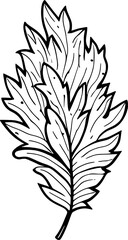 Leaf Vector