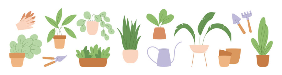 Set of illustration with plants in pots - obrazy, fototapety, plakaty