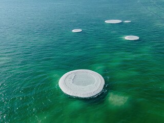 Circles of salt on Dead Sea, Israel
