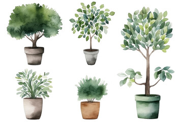 Watercolor of minimal Green Houseplant tree isolated on clear png background, elements natural botanical, leaves, flowers and herbs, set of tree plant collection, with Generative Ai.
