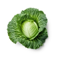 Fototapeta premium Cabbage leaf isolated on white background. Generative AI