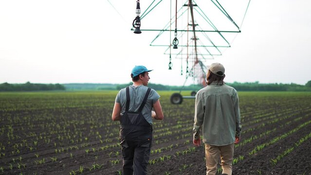 Agriculture. Two agronomist farmers inspect irrigation system of corn field.Teamwork on modern farm.Young sprouts of corn in fertile field.Work of people in field.limited production watering corn farm