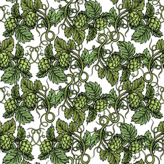 Hops seamless vintage color pattern. Hop cone and leaves engraving background. Craft beer alcohol wallpaper. Vector