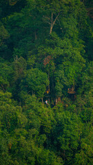 Zip line with green vegetation in the background at Tad Fane Waterfall, Pakse loop, Laos