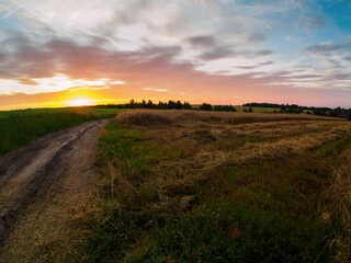 Sunset in a wheat field with a dirt road.