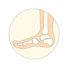 Foot Bones Icon