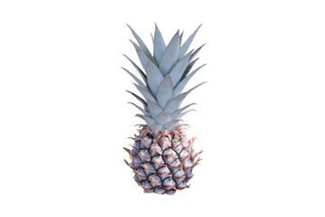 pineapple on PNG background