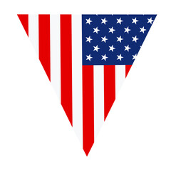 Flag of the United States illustration