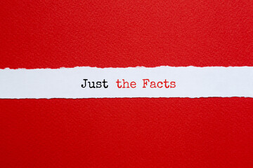 Just the facts - word concept on building blocks, text