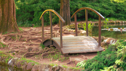 Nature's Palette: The Vibrant Colors of Flowers in the Park