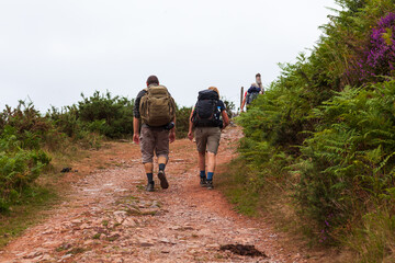 Obraz premium Couple of pilgrims walking along the Way of St James called Camino de Santiago