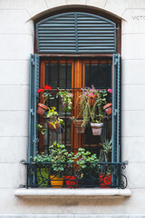 Fototapeta na wymiar window with flowers and potted plants