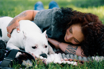 beautiful white dog of pit bull breed staffordshire terrier on a walk in the park with the owner on...