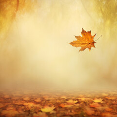 Naklejka na ściany i meble Colorful beautiful background of fallen leaves
