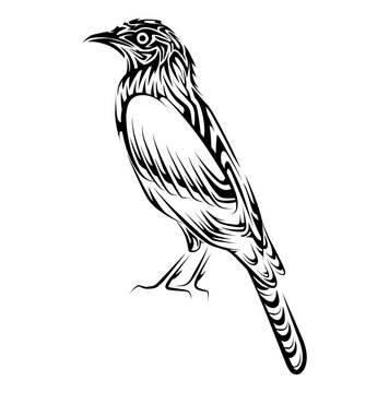 Eagle bird tribal tattoo silhouette illustration