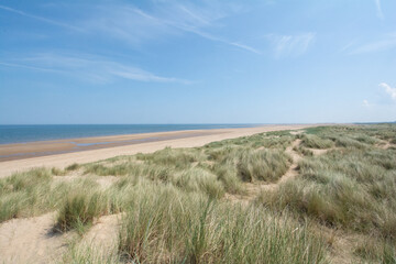 Fototapeta na wymiar sand dunes and grass on beach