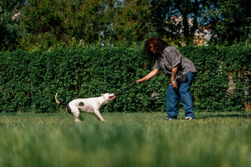 beautiful curly girl training a white pit bull dog with a rope in her hands love for animals