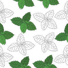 Seamless pattern of mint leaf icon. Isolated illustration of a mint leaf icon in linear style on a white background.