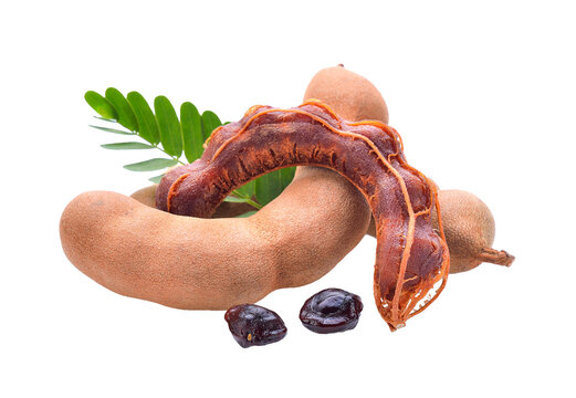 Tamarind on transparent png