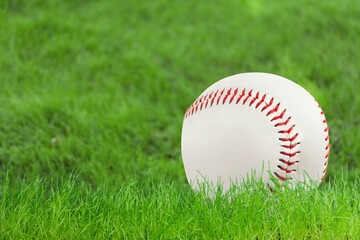 Sports baseball ball on green grass