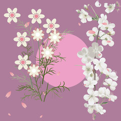 
A close up of flowers  sakura flower