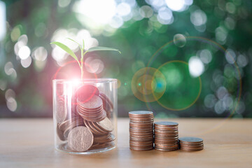 Coins in a glass jar with the small tree on top and coin ladder on table. Glass jar money saving...