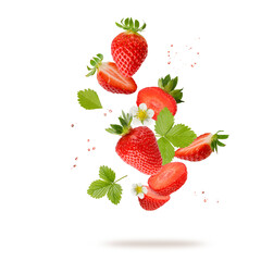Fresh sweet strawberry berries with flowers and leaves flying falling isolated on white background.
