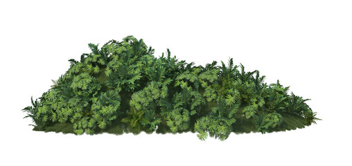 Obraz premium Small garden with multiple plants on transparent background