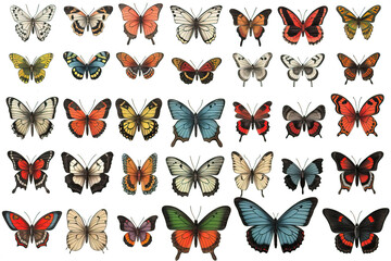 Fototapeta premium Colored butterflies of different types, on a white background.