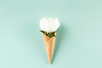 Flat-lay of waffle cone with peony flower over pastel light blue background, top view