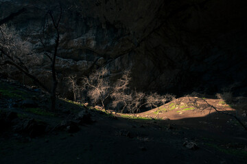 Fototapeta na wymiar Huge illuminated cave Ak-Mechet with a grove of trees in southern Kazakhstan