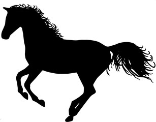 Fototapeta na wymiar horse silhouette vector illustration