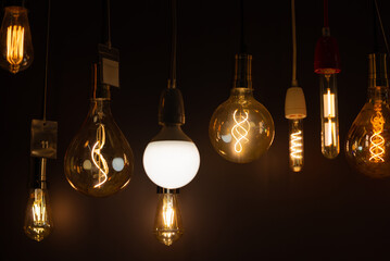 Hanging from the ceiling are many light bulbs of various sizes and shapes. The original lighting...