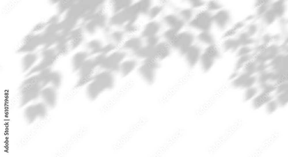 Wall mural tree branch leaves shade dynamic blow 3d render png
