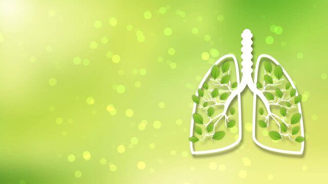 lung on green background. concept for healthy air, lung cancer awareness and healthcare.
