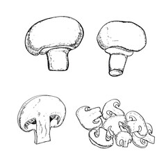Button Mushroom Vector design