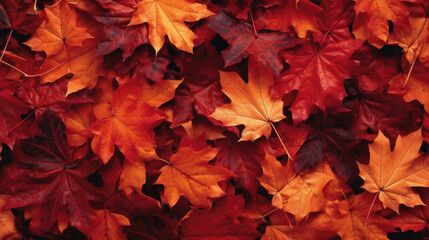 Naklejka na ściany i meble autumn background of red leaves. generative ai